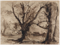 KT 1999 046
          <br/>
          Oude eik in Poelgeest/Landschap met eik
          <br/>
          <em>Wolkers, Jan (1925-2007)</em>